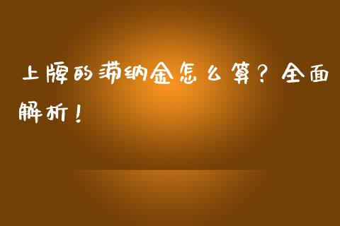 上牌的滞纳金怎么算？全面解析！_https://wap.78312.cn_外汇交易_第1张