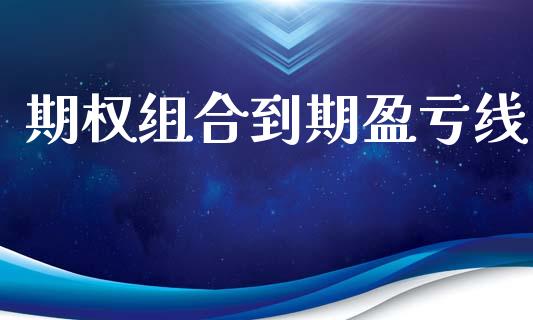 期权组合到期盈亏线_https://wap.78312.cn_财经新闻_第1张
