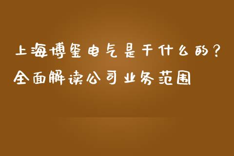 上海博玺电气是干什么的？全面解读公司业务范围_https://wap.78312.cn_全球市场_第1张