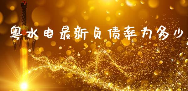 粤水电最新负债率为多少_https://wap.78312.cn_债券资讯_第1张