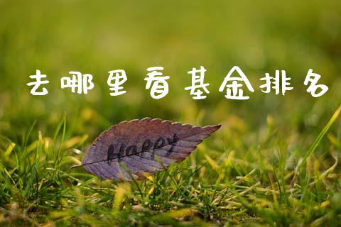 去哪里看基金排名_https://wap.78312.cn_债券资讯_第1张