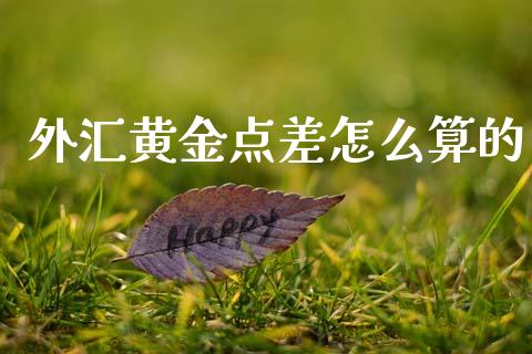 外汇黄金点差怎么算的_https://wap.78312.cn_财经新闻_第1张