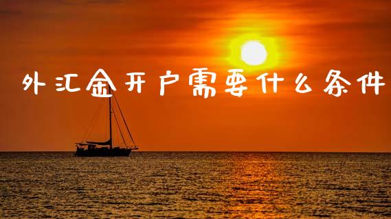 外汇金开户需要什么条件_https://wap.78312.cn_金融监管_第1张
