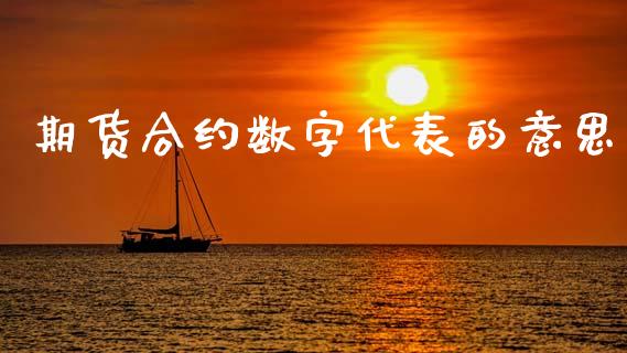 期货合约数字代表的意思_https://wap.78312.cn_外汇交易_第1张