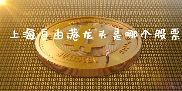 上海自由港龙头是哪个股票_https://wap.78312.cn_财经新闻_第1张