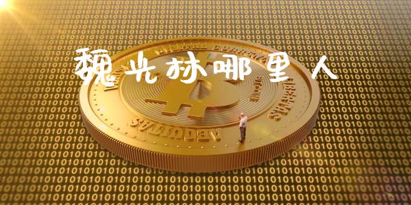 魏光林哪里人_https://wap.78312.cn_金融监管_第1张