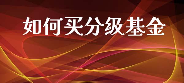 如何买分级基金_全球市场_第1张_期货开户_金融监管_外汇交易_债券资讯_全球市场_财经新闻 如何买分级基金_https://wap.78312.cn_全球市场_第1张