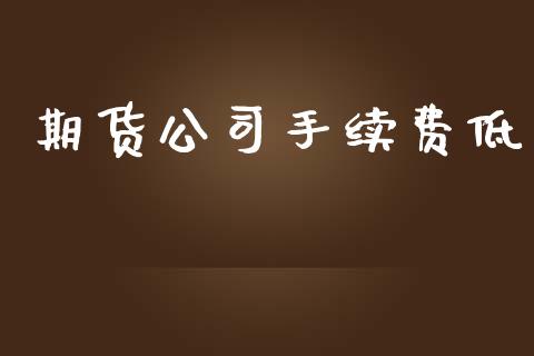 期货公司手续费低_https://wap.78312.cn_外汇交易_第1张