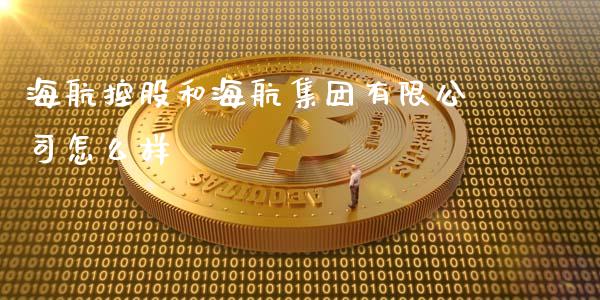 海航控股和海航集团有限公司怎么样_https://wap.78312.cn_金融监管_第1张