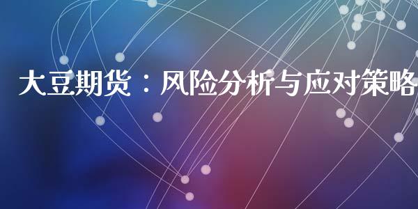 大豆期货：风险分析与应对策略_https://wap.78312.cn_金融监管_第1张