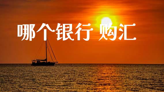 哪个银行 购汇_https://wap.78312.cn_全球市场_第1张