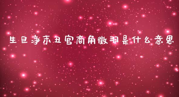 生旦净末丑宫商角徵羽是什么意思_https://wap.78312.cn_金融监管_第1张