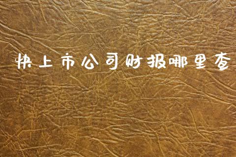 快上市公司财报哪里查_https://wap.78312.cn_外汇交易_第1张