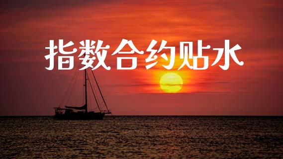 指数合约贴水_https://wap.78312.cn_债券资讯_第1张