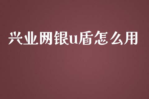 兴业网银u盾怎么用_https://wap.78312.cn_金融监管_第1张