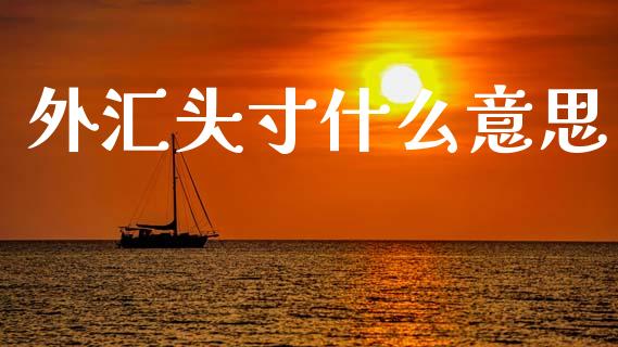 外汇头寸什么意思_https://wap.78312.cn_金融监管_第1张