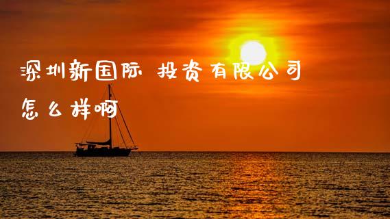 深圳新国际 投资有限公司怎么样啊_https://wap.78312.cn_财经新闻_第1张