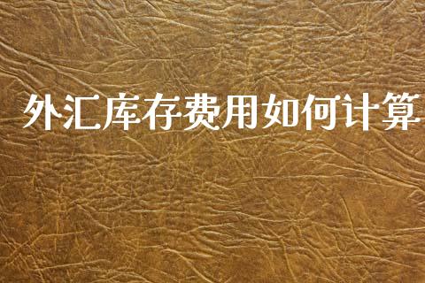 外汇库存费用如何计算_https://wap.78312.cn_金融监管_第1张