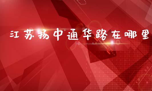 江苏扬中通华路在哪里_https://wap.78312.cn_全球市场_第1张