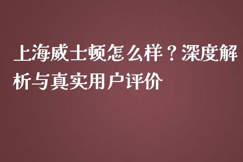上海威士顿怎么样？深度解析与真实用户评价_https://wap.78312.cn_金融监管_第1张