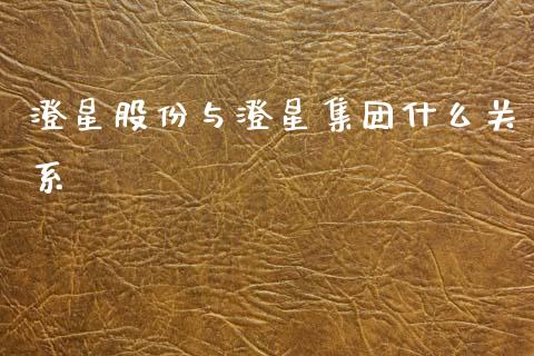 澄星股份与澄星集团什么关系_https://wap.78312.cn_期货开户_第1张