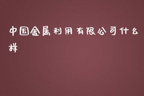 中国金属利用有限公司什么样_https://wap.78312.cn_金融监管_第1张