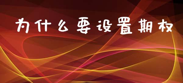 为什么要设置期权_https://wap.78312.cn_全球市场_第1张