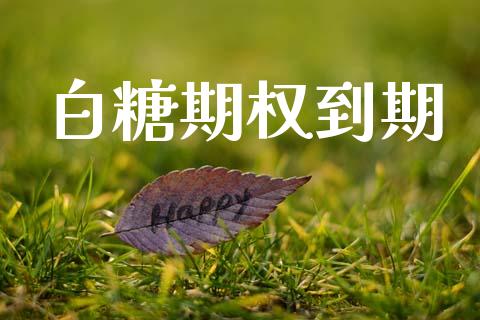 白糖期权到期_https://wap.78312.cn_期货开户_第1张