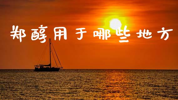 郑醇用于哪些地方_https://wap.78312.cn_全球市场_第1张