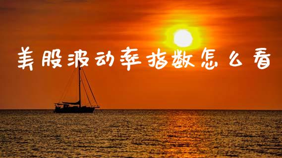 美股波动率指数怎么看_https://wap.78312.cn_期货开户_第1张