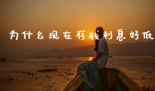 为什么现在存钱利息好低_https://wap.78312.cn_债券资讯_第1张