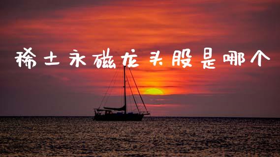 稀土永磁龙头股是哪个_https://wap.78312.cn_全球市场_第1张