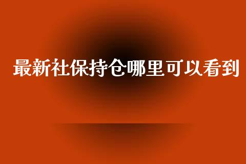 最新社保持仓哪里可以看到_https://wap.78312.cn_财经新闻_第1张