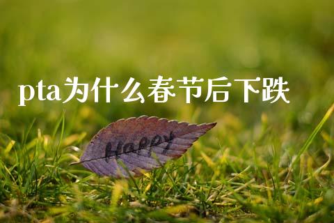 pta为什么春节后下跌_https://wap.78312.cn_期货开户_第1张