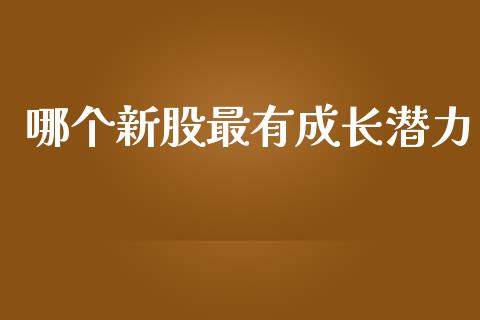 哪个新股最有成长潜力_https://wap.78312.cn_债券资讯_第1张