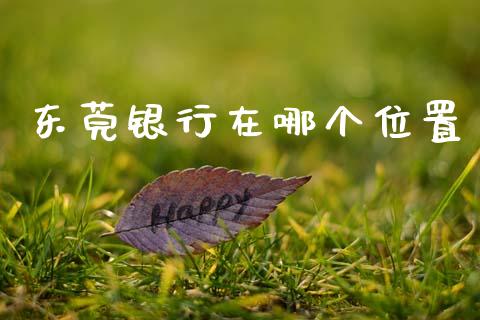 东莞银行在哪个位置_https://wap.78312.cn_金融监管_第1张