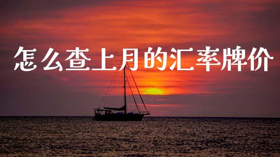 怎么查上月的汇率牌价_https://wap.78312.cn_外汇交易_第1张
