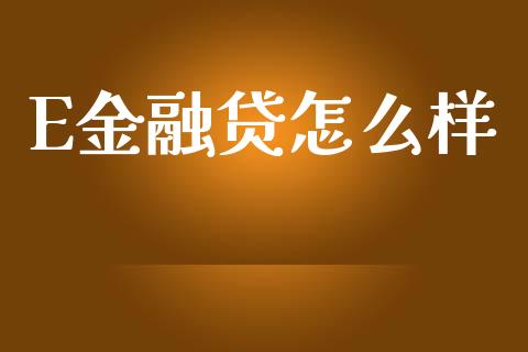 E金融贷怎么样_https://wap.78312.cn_金融监管_第1张