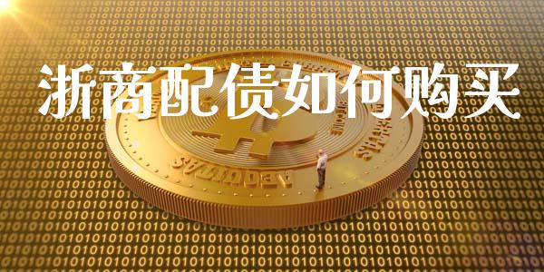 浙商配债如何购买_https://wap.78312.cn_金融监管_第1张