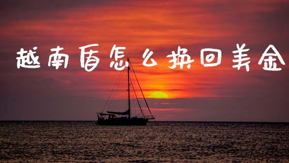 越南盾怎么换回美金_https://wap.78312.cn_金融监管_第1张