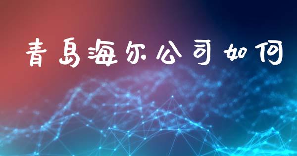 青岛海尔公司如何_https://wap.78312.cn_债券资讯_第1张