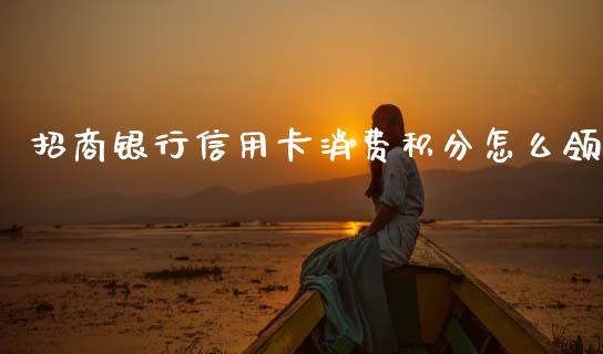 招商银行信用卡消费积分怎么领_https://wap.78312.cn_期货开户_第1张