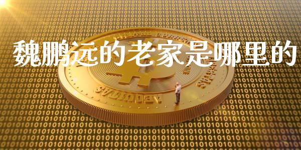 魏鹏远的老家是哪里的_https://wap.78312.cn_债券资讯_第1张