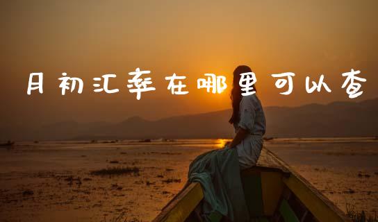 月初汇率在哪里可以查_https://wap.78312.cn_金融监管_第1张