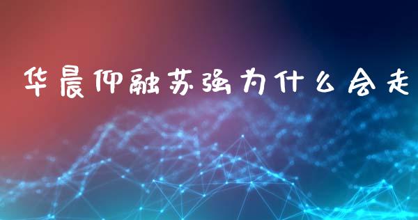华晨仰融苏强为什么会走_https://wap.78312.cn_期货开户_第1张