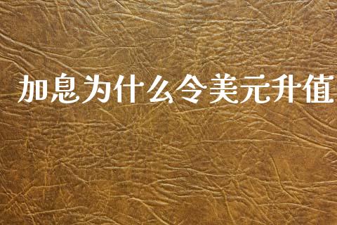 加息为什么令美元升值_https://wap.78312.cn_外汇交易_第1张