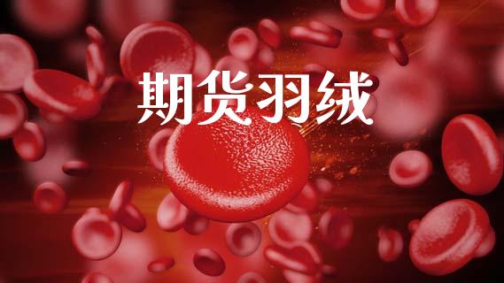 期货羽绒_https://wap.78312.cn_外汇交易_第1张