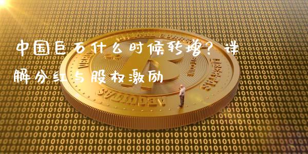 中国巨石什么时候转增？详解分红与股权激励_https://wap.78312.cn_财经新闻_第1张