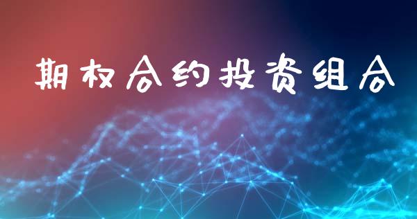 期权合约投资组合_https://wap.78312.cn_债券资讯_第1张