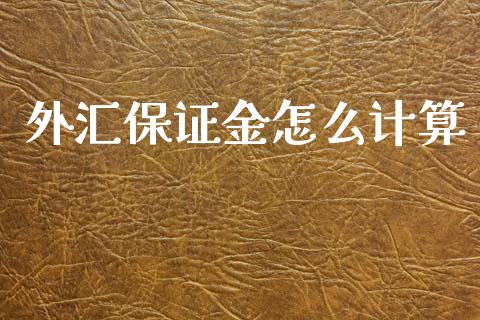 外汇保证金怎么计算_https://wap.78312.cn_期货开户_第1张